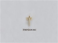 藏品(銀灰苔蛾)的圖片